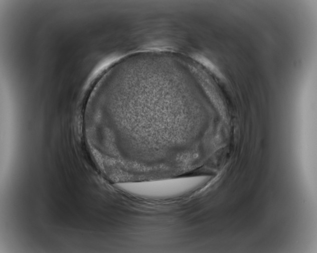 X0000084041358200703092022