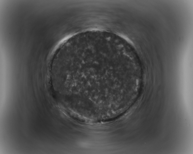 X0000084041359200703092022