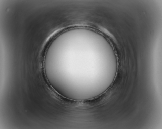 X0000084041360200703092022