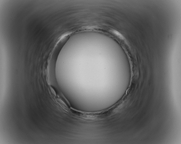 X0000084041361200703092022