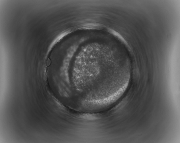 X0000084041362200703092022