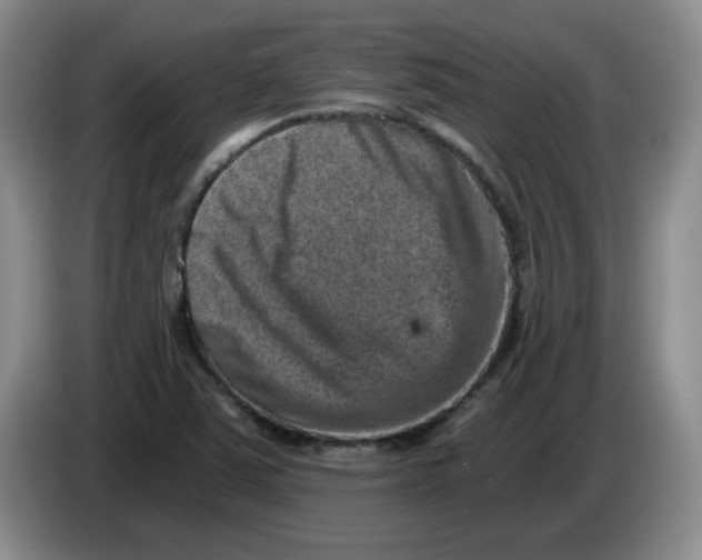 X0000084041363200703092022