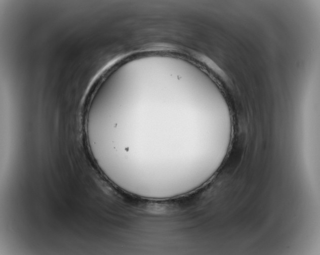 X0000084041364200703092022