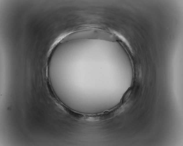 X0000084041365200703092022