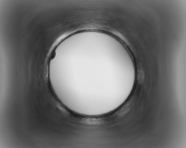 X0000084041366200703092022