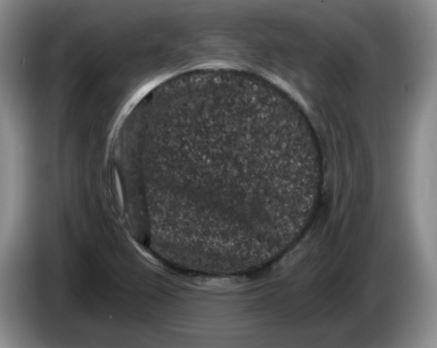 X0000084041367200703092022