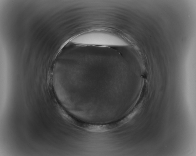 X0000084041369200703092022