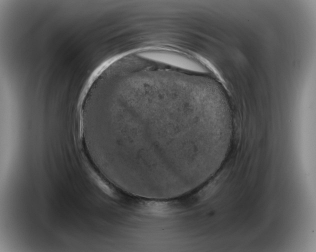 X0000084041371200703092022