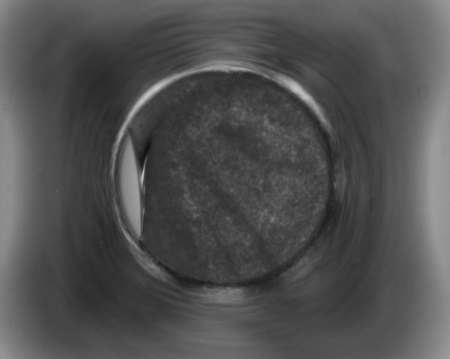 X0000084041372200703092022