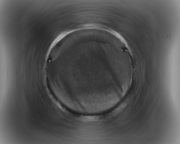 X0000084041373200703092022