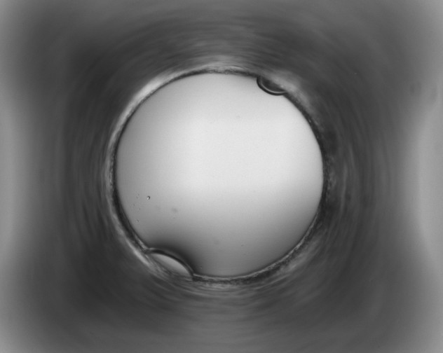 X0000084041375200703092022