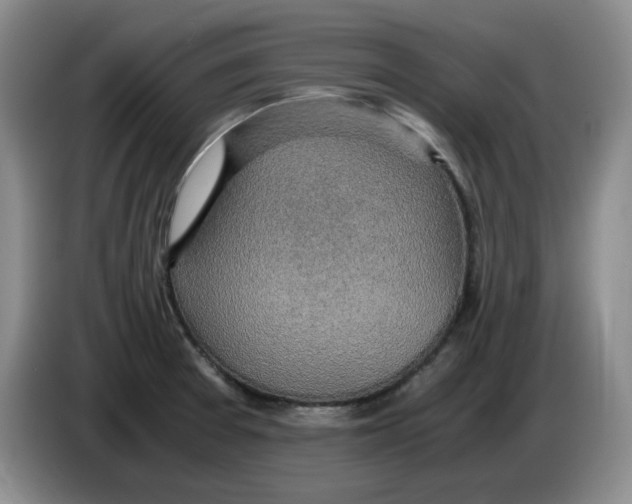 X0000084041377200703092022