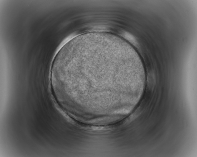 X0000084041378200703092022