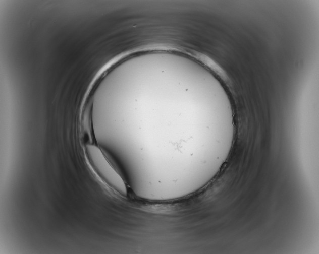 X0000084041380200703092022