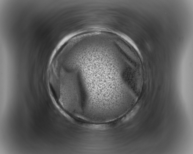 X0000084041381200703092022