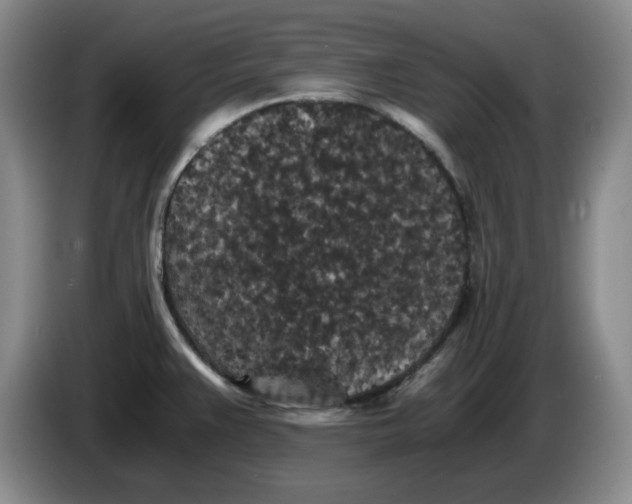 X0000084041383200703092022