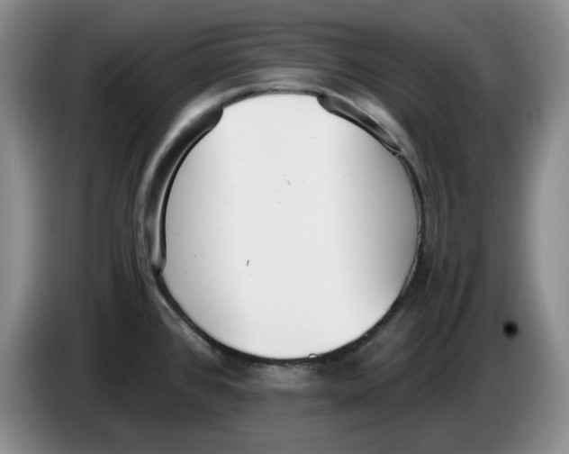 X0000084041384200703092022