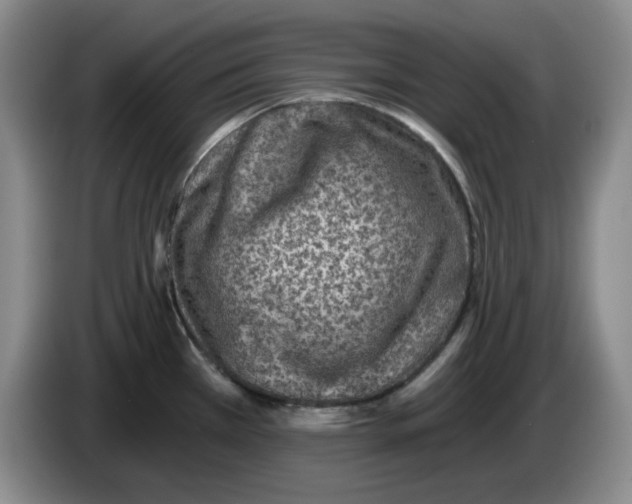 X0000084041385200703092022