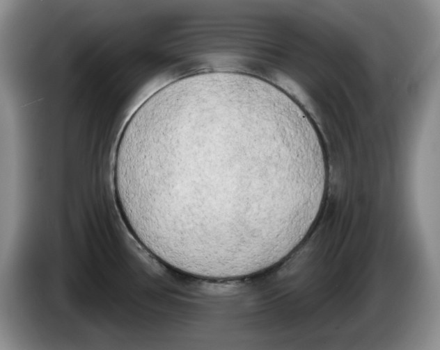 X0000084041386200703092022