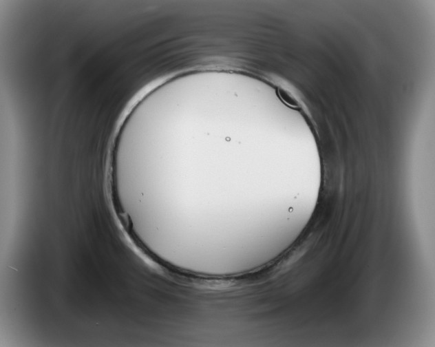 X0000084041387200703092022