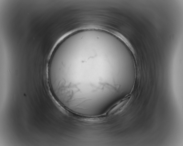 X0000084041388200703092022