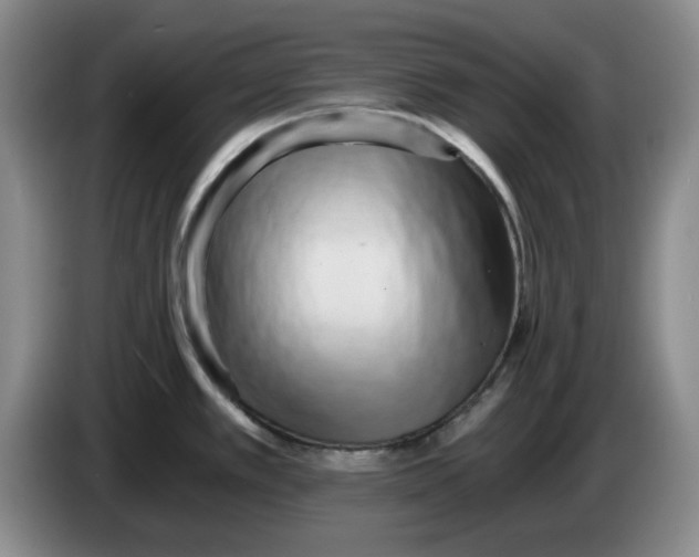 X0000084041389200703092022