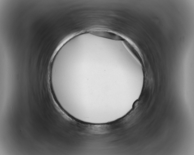 X0000084041390200703092022