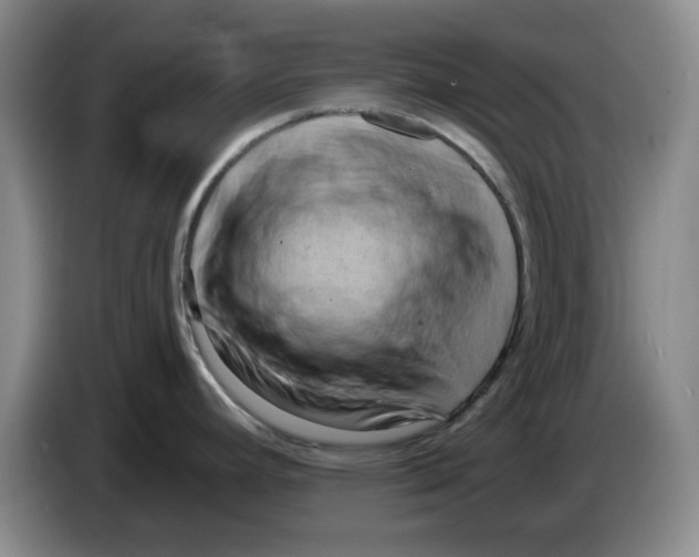 X0000084041392200703092022