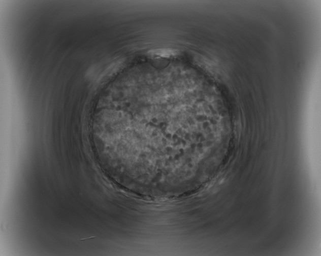 X0000084041393200703092021