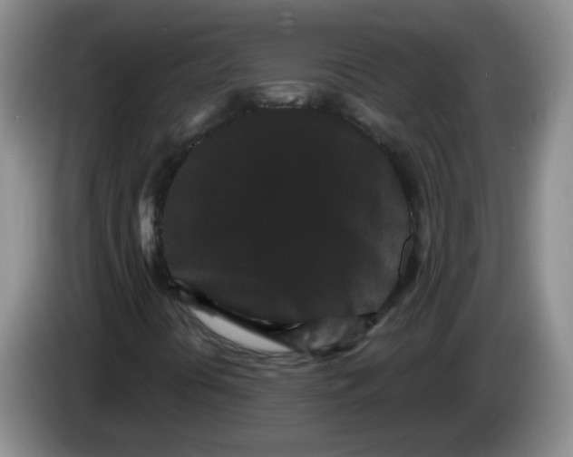 X0000084041394200703092021