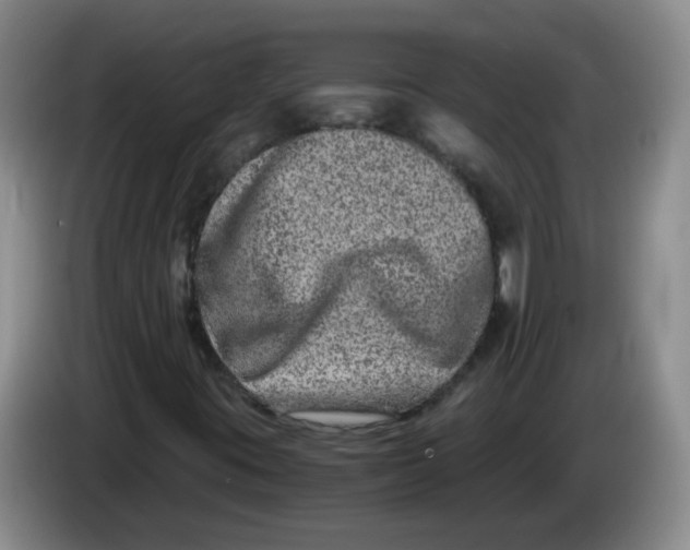 X0000084041395200703092021