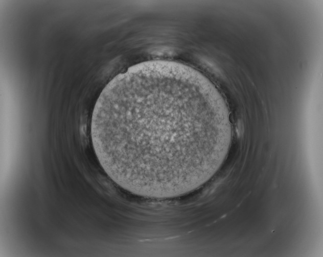 X0000084041396200703092021