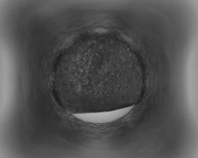 X0000084041397200703092021