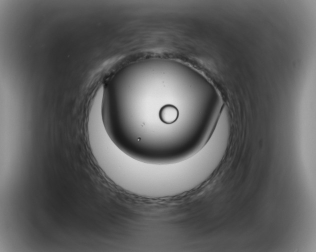 X0000084041398200703092021