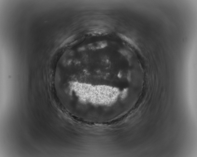 X0000084041399200703092021