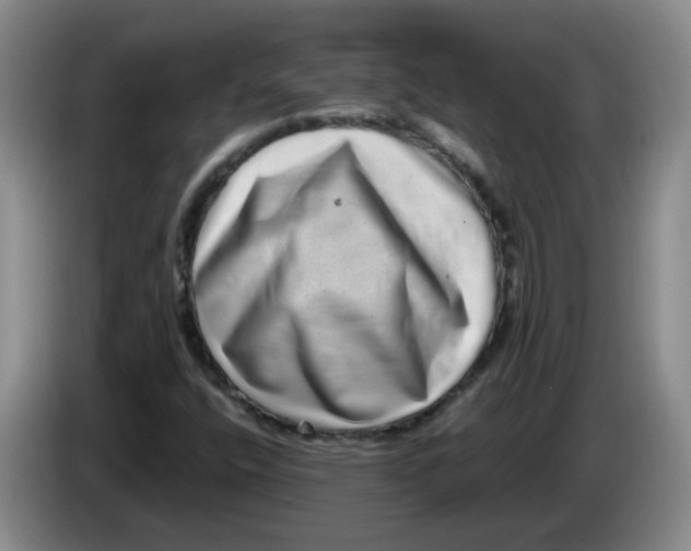 X0000084041400200703092021