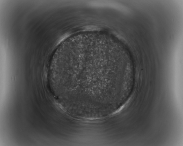 X0000084041401200703092021