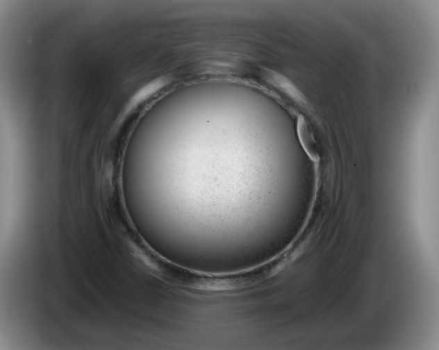 X0000084041402200703092021