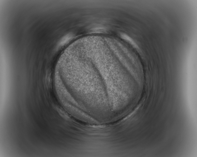 X0000084041403200703092021