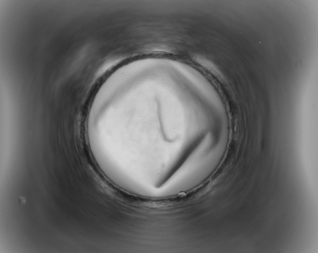 X0000084041404200703092021