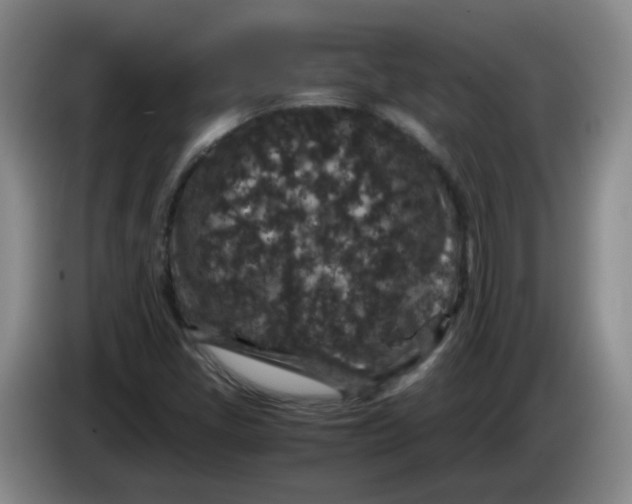 X0000084041405200703092021