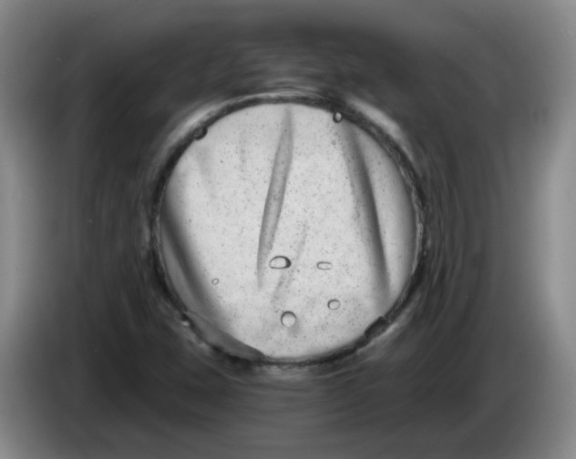 X0000084041407200703092021