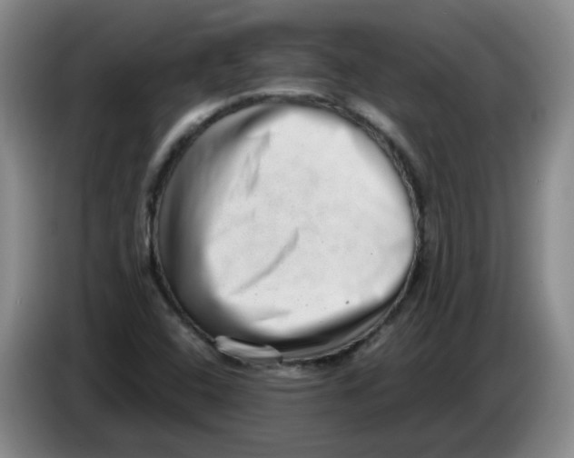 X0000084041408200703092021