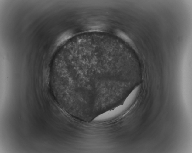 X0000084041411200703092022