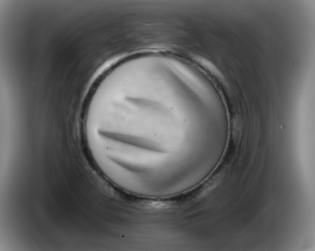 X0000084041412200703092022