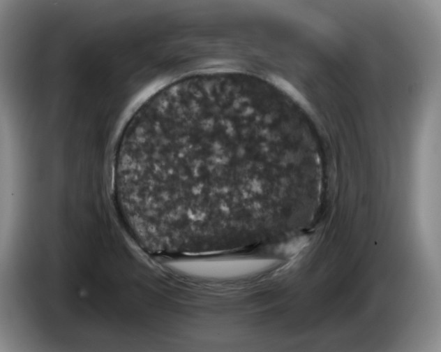 X0000084041413200703092022