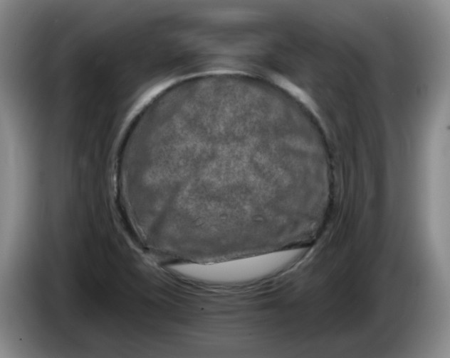 X0000084041415200703092022