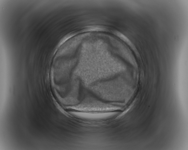 X0000084041417200703092022