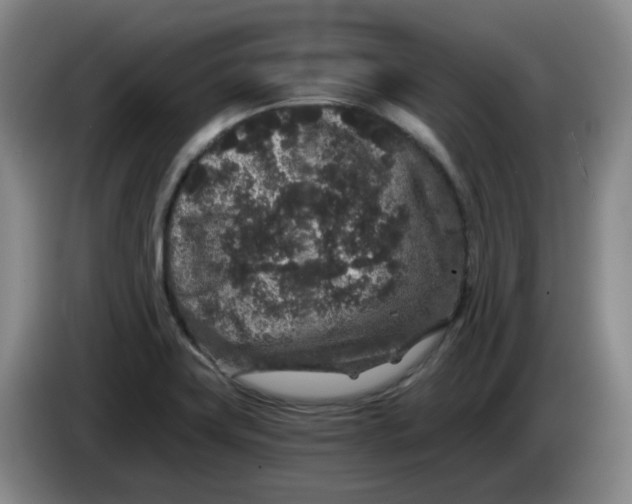 X0000084041419200703092022