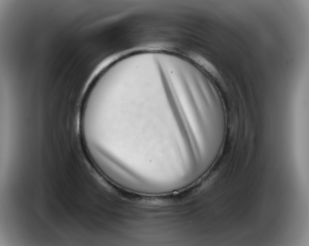 X0000084041420200703092022